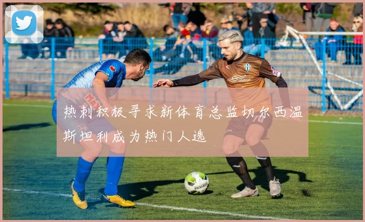 热刺积极寻求新体育总监切尔西温斯坦利成为热门人选