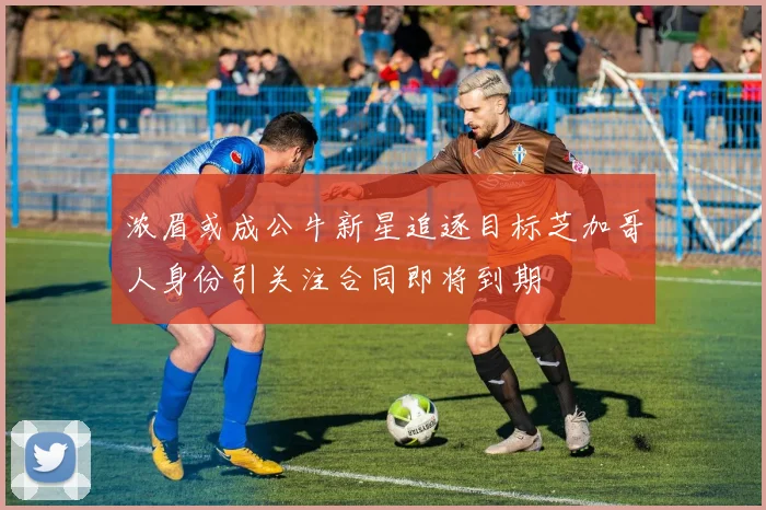 浓眉或成公牛新星追逐目标芝加哥人身份引关注合同即将到期