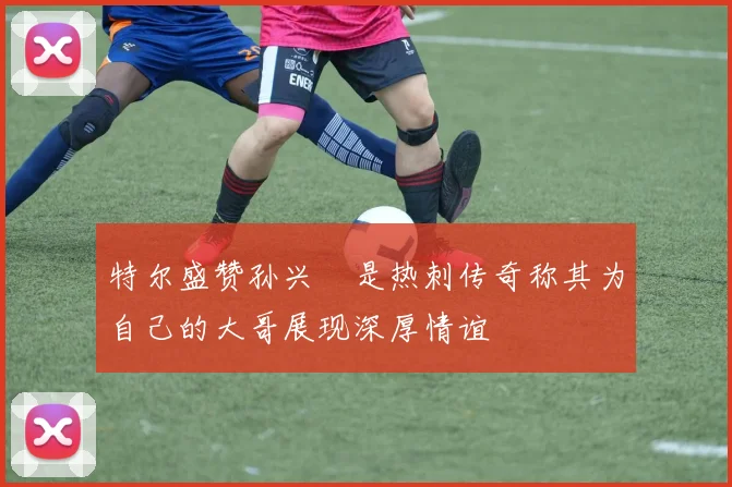 特尔盛赞孙兴慜是热刺传奇称其为自己的大哥展现深厚情谊